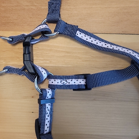 Femle Dog Polkadot HARNESS and MATCHING LEASH - Picture 3 of 10